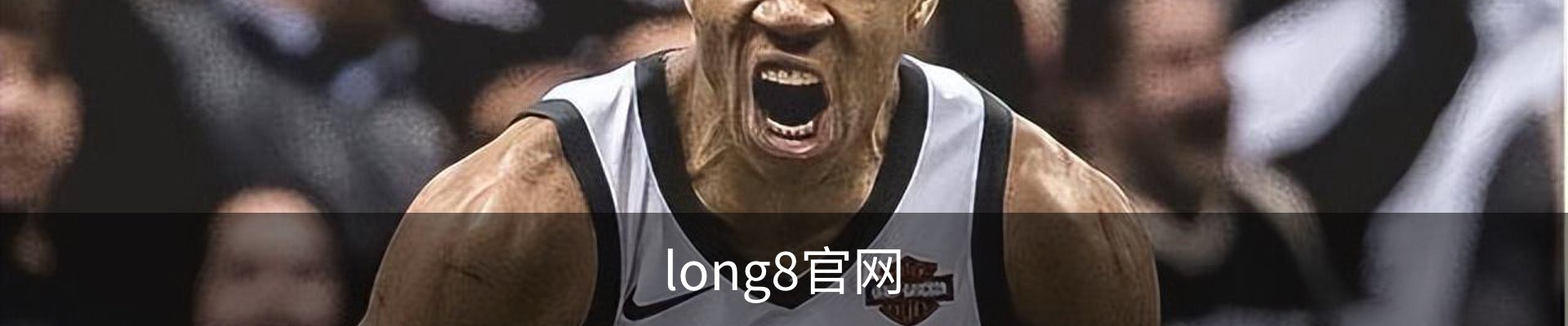 long8官网